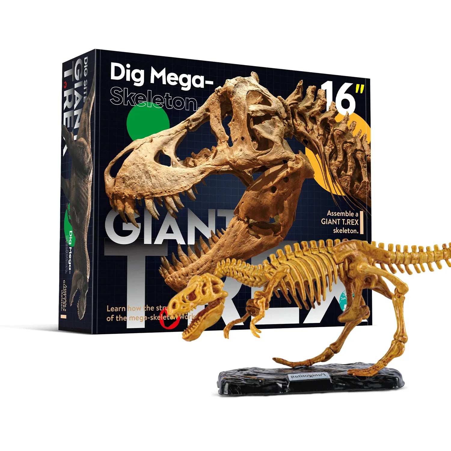 Wow Toys Soil Color Giant Tyrannosaurus Dig 5 Pcs for kids in Kuwait